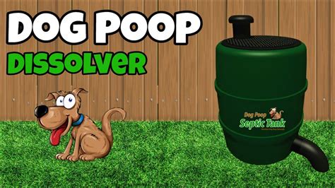 The poop will make its way to the sewage treatment plant, where it will be processed. . Dog poop dissolver